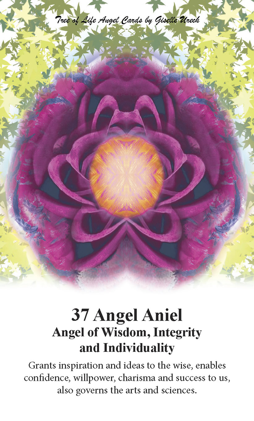 37 Angel Aniel 